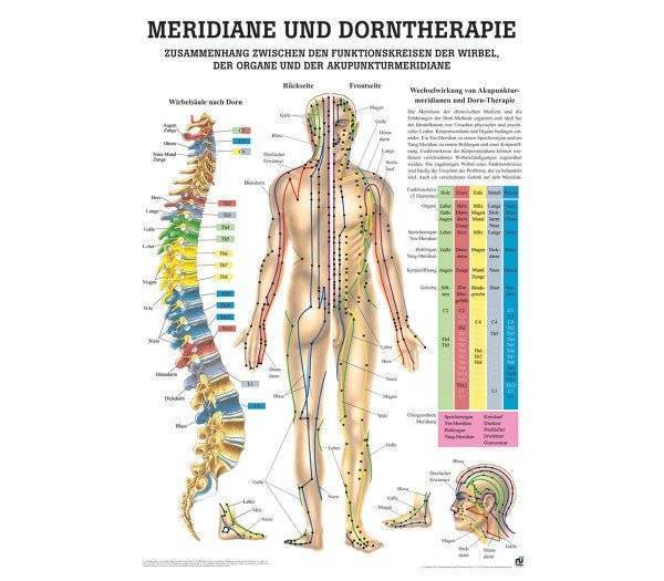 Lehrtafel Meridiane und Dorntherapie
